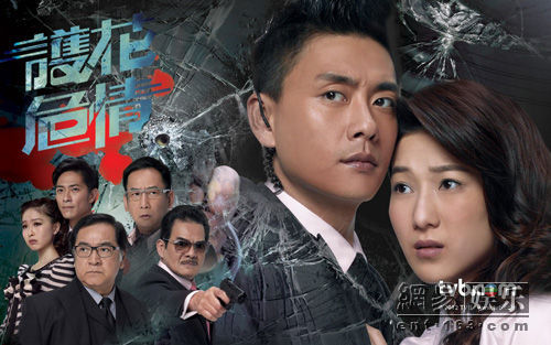 《护花危情》成为TVB2012年播出季年度收视冠军。