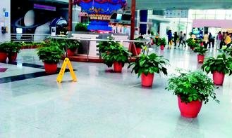 台北市立天文馆一大厅会漏水，馆方摆放20多盆的盆栽来接水。 图／市议员汪志冰研究室提供