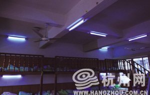 杭州一幼儿园老师用紫外线灯照射惩戒孩子(图)