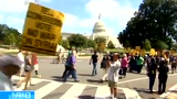 华盛顿爆发大规模游行 抗议对叙动武