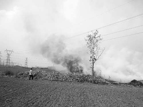 南阳村庄焚烧秸秆火光冲天 上面就是高压线