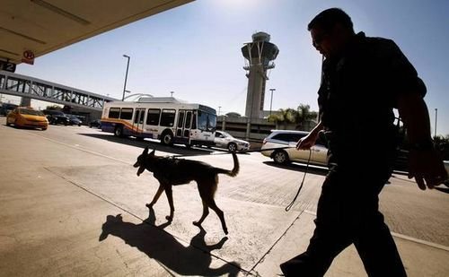 洛杉矶机场一名雇员卷入干冰爆炸案被捕(图)