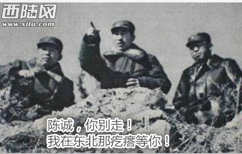戴笠回到重庆后，蒋介石询问林彪情况，结果戴笠敷衍了之。蒋介石以为林彪天生骄傲，难以招致麾下，从此不再过问林彪之事。