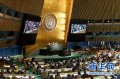 埃及日本等5国当选联合国安理会非常任理事国