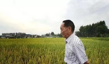 袁隆平“杂交水稻之父”逝世沉痛悼念